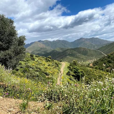 La Marinera Marbella
